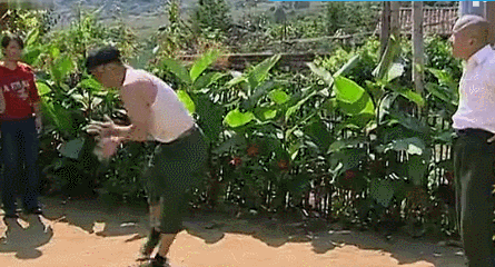 小羊在主人面前猛学赵四跳舞:听说有才艺的羊不会变成烤羊肉串