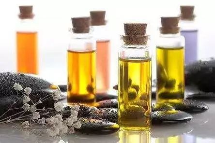 微生物发酵全价饲料或可替代抗生素日粮,其提高动物免疫力的作用机理