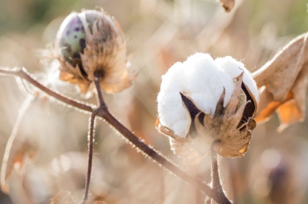 无人机除了航拍,还可以干嘛?