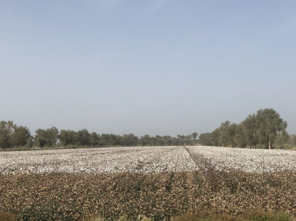 无人机除了航拍,还可以干嘛?