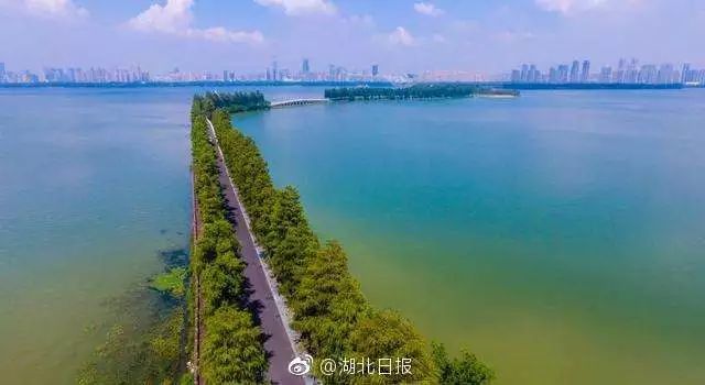 不是唐城，不是古隆中，国庆假期湖北最火的景区竟然是它？(图5)
