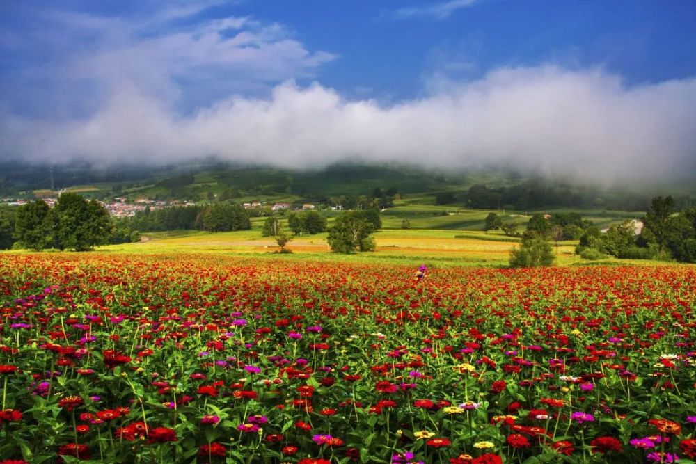 除了雪,在雪乡还能看什么——北京国际摄影周2018吉林舒兰专题摄影展