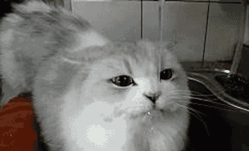 脱水|喝水对牙好，一天喝八杯水多还是少