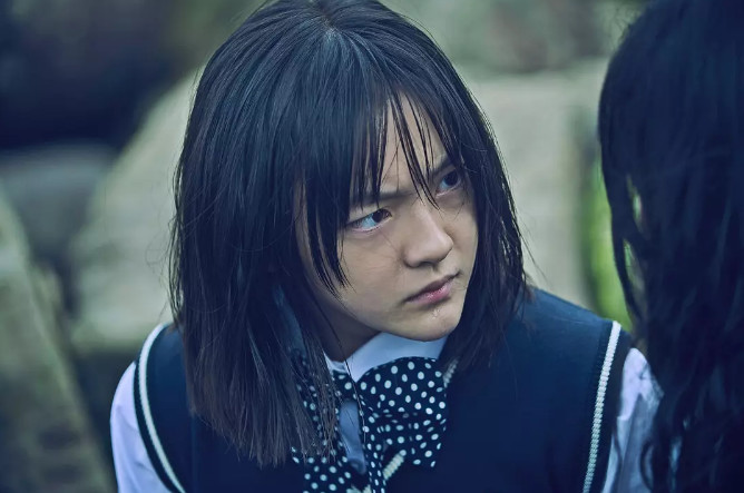 李兰迪张子枫文淇,这届后浪有多高