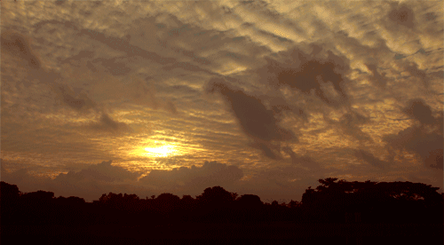 北京人|住这片儿的北京人，您可真豪横！
