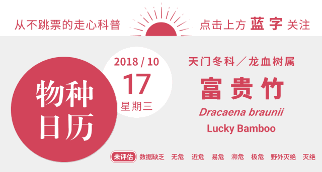 腾讯内容开放平台