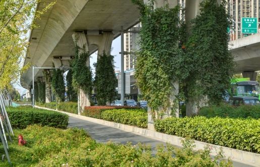 中环高架桥柱绿化