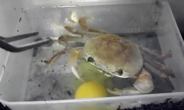 Https Encrypted Tbn0 Gstatic Com Images Q Tbn 3aand9gct76a6yi78sireb5dldjsind0wuhneu8ahfmg Usqp Cau