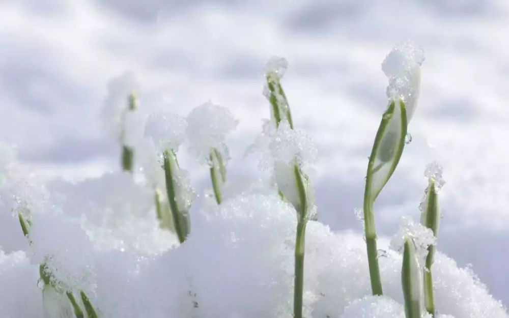 从太吾绘卷到中国式家长,国产独立游戏的春天