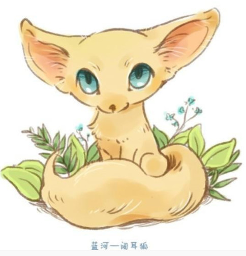 萌萌哒的阔耳狐 你喜欢吗