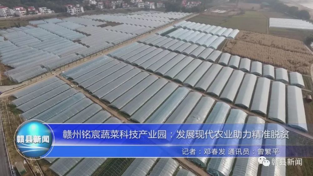 赣州铭宸蔬菜科技产业园:发展现代农业助力精