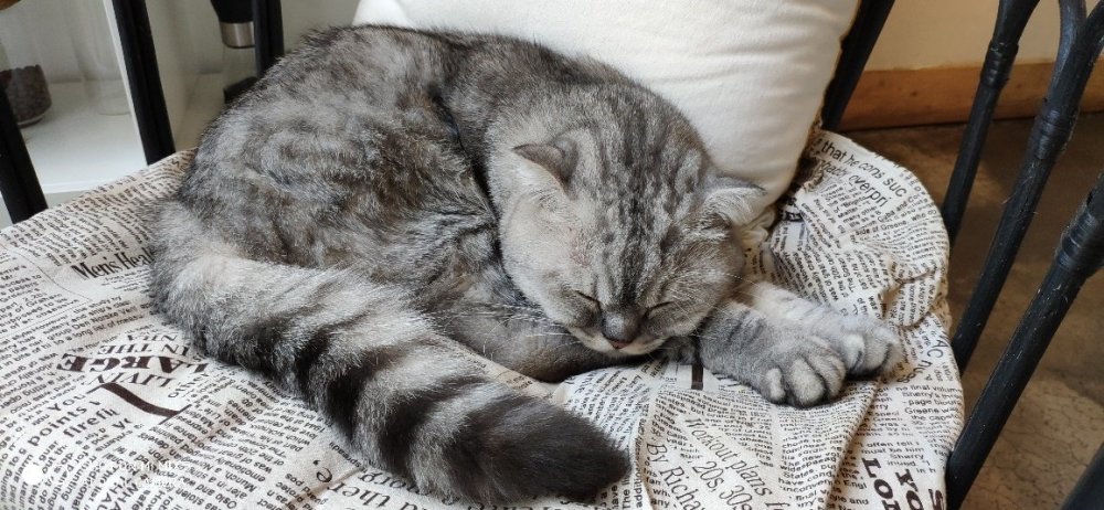 2018款滑盖手机--小米MIX 3深度评测