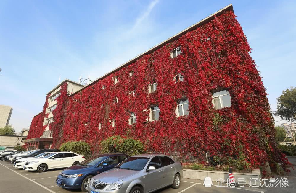 深秋季节沈阳凸现一红色大楼壮观醒目