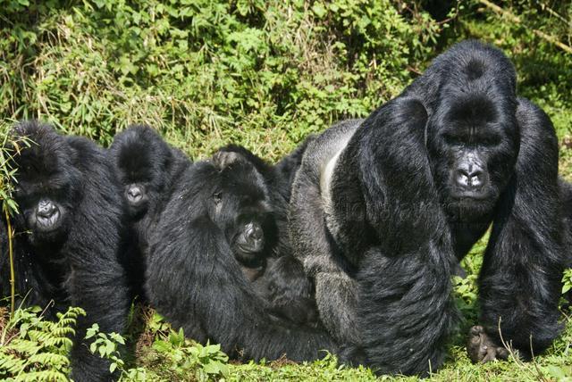 非洲的新加坡,被评为必去的旅行胜地,将对中