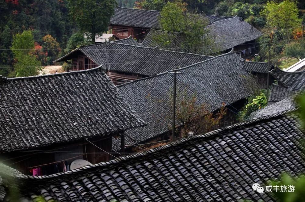 這些幹欄式的吊腳樓, 或依山傍水,傾聽林濤水聲; 或掩蔽於綠林樹叢,沐