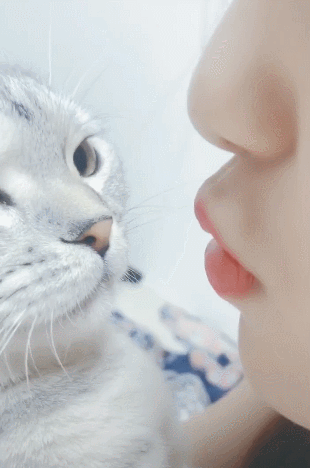 310_468竖版 竖屏gif 动态图 动图