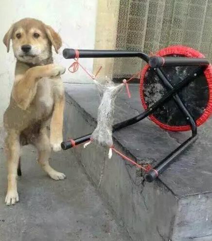 搞笑的照片 腾讯网