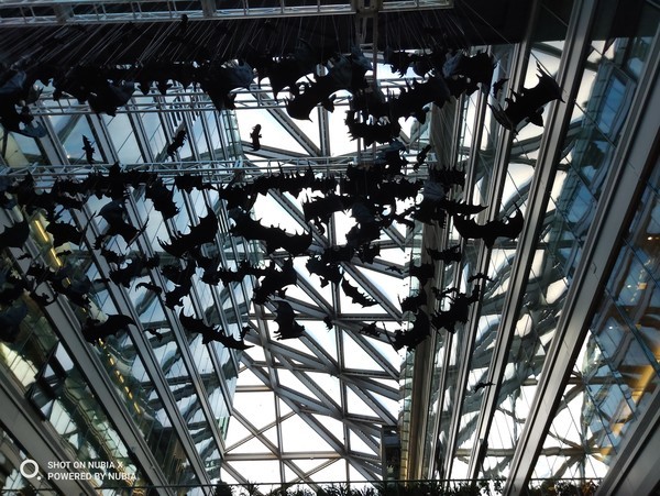 努比亚X拍照体验 旗舰副屏自拍秒杀众人