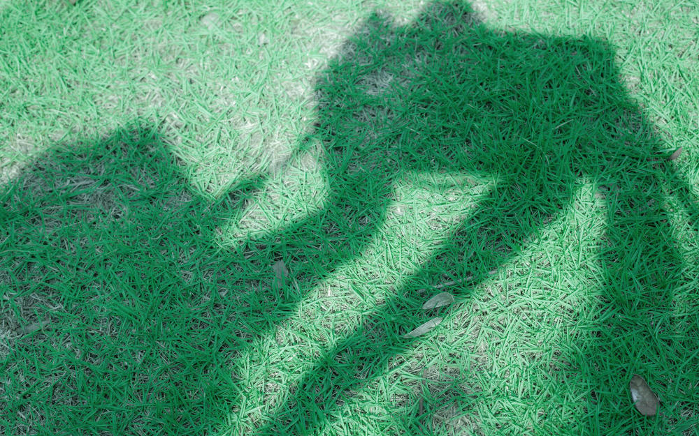 不出五天桃花运出现,月老为三星座的真爱牵线搭桥!