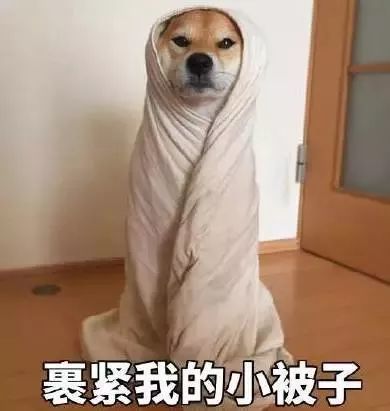 冷冷冷冷冷…今天白天最高气温创新低