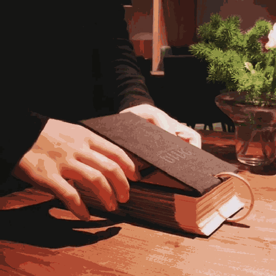 又双叒叕被美国《国家地理》震撼到！每一天每一眼都是超级大片