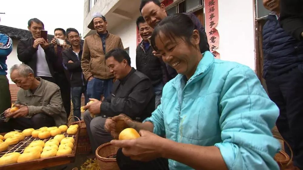 柿柿如意!这恭城月柿红了,除了送祝福还能玩