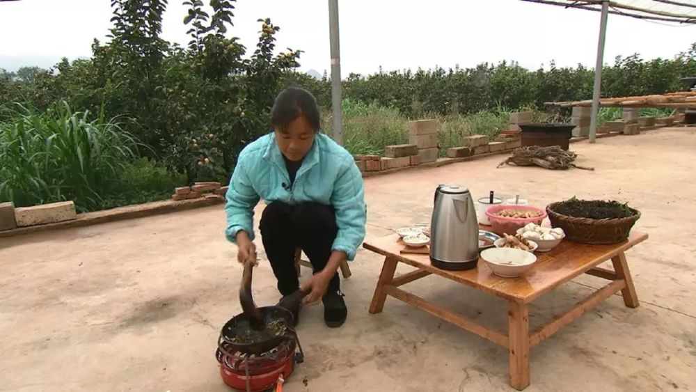 柿柿如意!这恭城月柿红了,除了送祝福还能玩