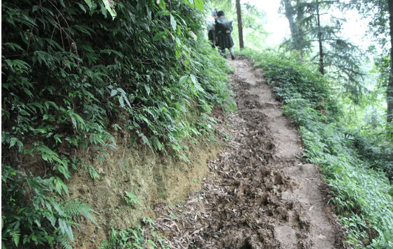 心理学:你感觉哪条山路最难走?测出你现在的恋情是福是劫?