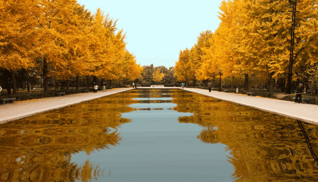 萧雨涵|【当代诗人咏秋天·第二季】萧雨涵 卷