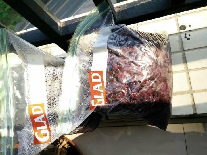 用苹果皮来沤肥,花喝了就长个,满盆都是油绿叶