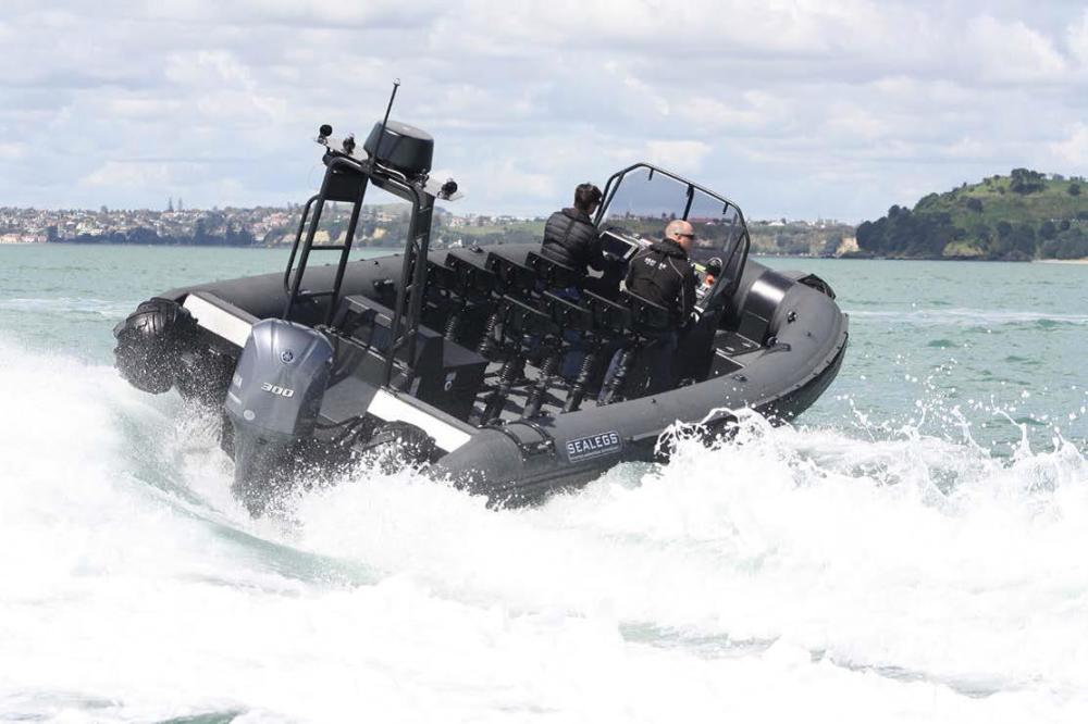 名船汇集海博会:具有多种特殊功能的水陆两栖艇将亮相!