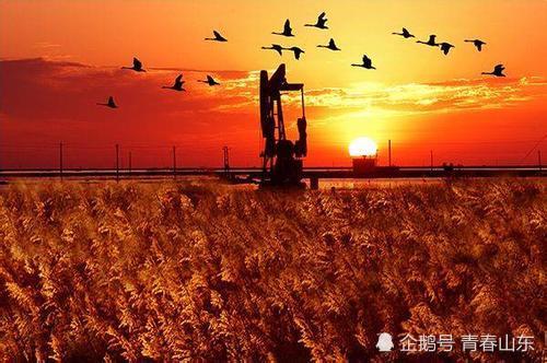 2020东营gdp11名_山东“实力最强”的县,居全国百强县第11名,GDP超越莱芜(2)