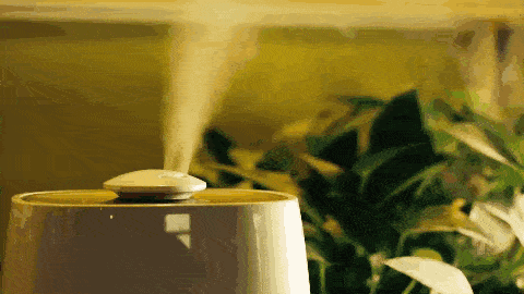 过敏性鼻炎|科学防治鼻塞、鼻痒、涕流不止的过敏性鼻炎