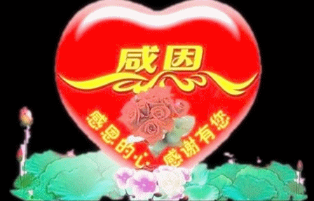 一首《感恩的心》送给微信里的你,感谢有你!