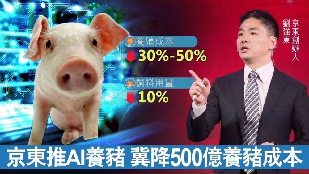 京东也要养猪了,互联网巨头扎堆猪场?