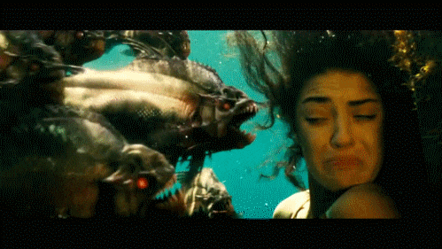 食人鱼|食人鱼真的食人吗？袭人事件不多，被人类煮汤当烤鱼吃比较常见