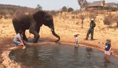 她结结实实地就被大象鼻子里蓄着的水喷了一身!