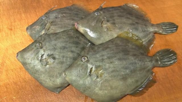 男子买来4条"橡皮鱼"切掉鱼头就扔掉,幸好被拦住,不然就亏了