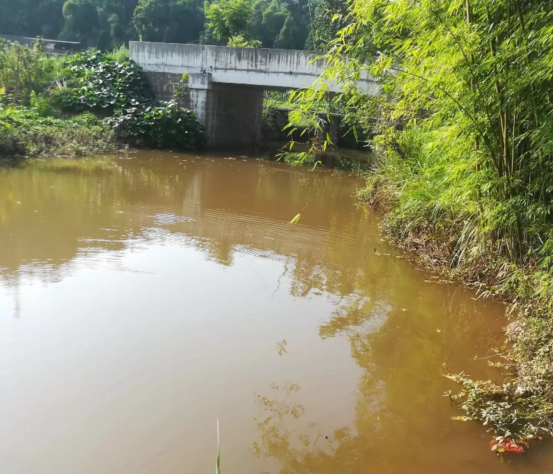 农村随意找的野塘钓鱼,半天鱼获自己都惊讶,钓