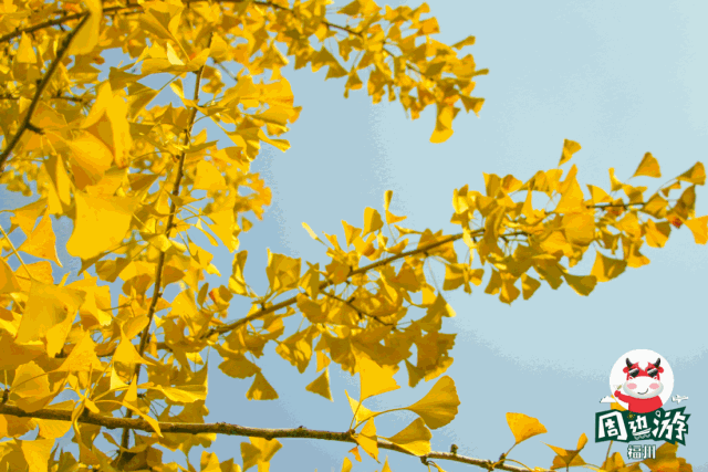在福州深秋最不可错过的12件事这些美景不能辜负
