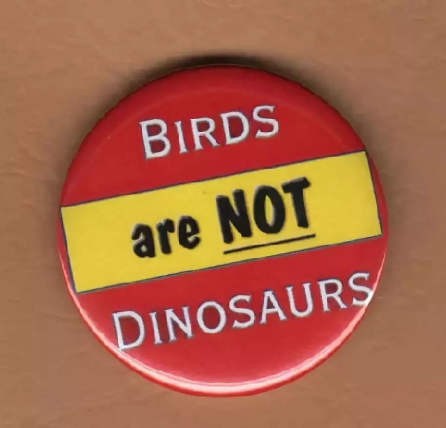 巨大的恐龙怎么样变成了鸟类?巨大的猿猴进化成了人类?