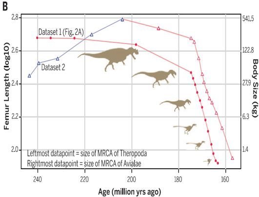 巨大的恐龙怎么样变成了鸟类?巨大的猿猴进化成了人类?