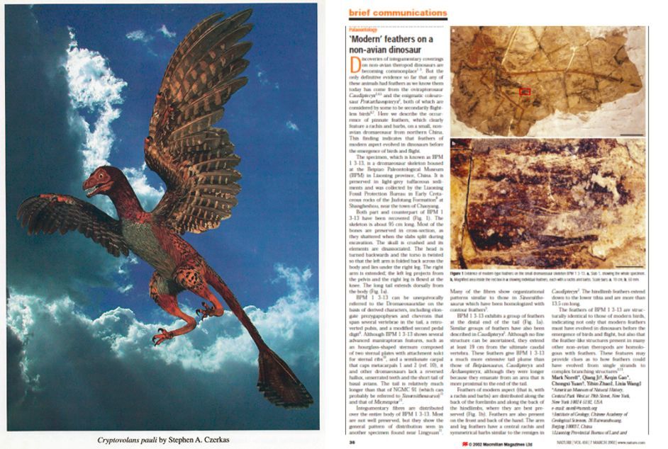 巨大的恐龙怎么样变成了鸟类?巨大的猿猴进化成了人类?