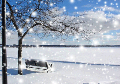 说雪花,也是一朵花,我想她一定是一朵清芬的花,无论尘世有多少风霜