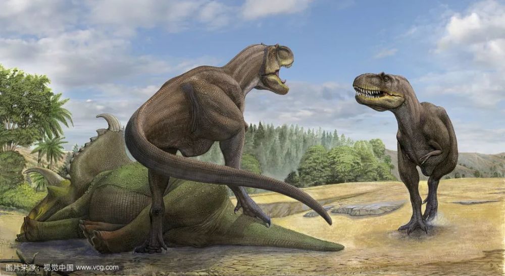 恐龙的寿命有多长?