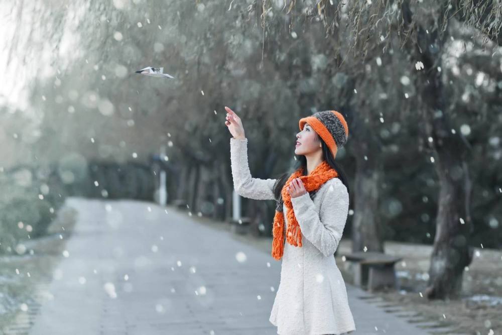 读睡诗歌 久远的情愫已冬眠,寒风吹着口哨