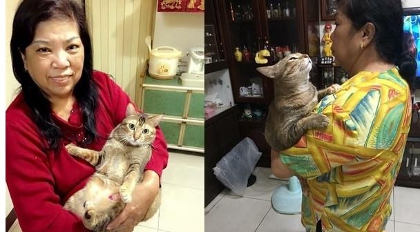 戏精猫偷偷用手捞水喝 听到奶奶来了立刻开启正常模式秒装乖