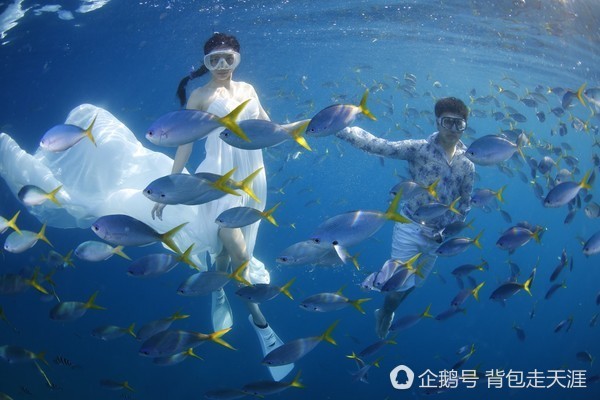 海底婚纱照图片大全_海底世界图片大全