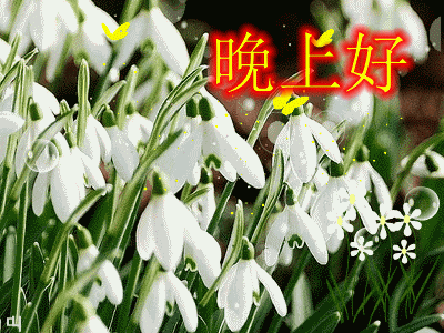 大家晚上好动态图片大全 2019最新晚上问候语动态图片表情