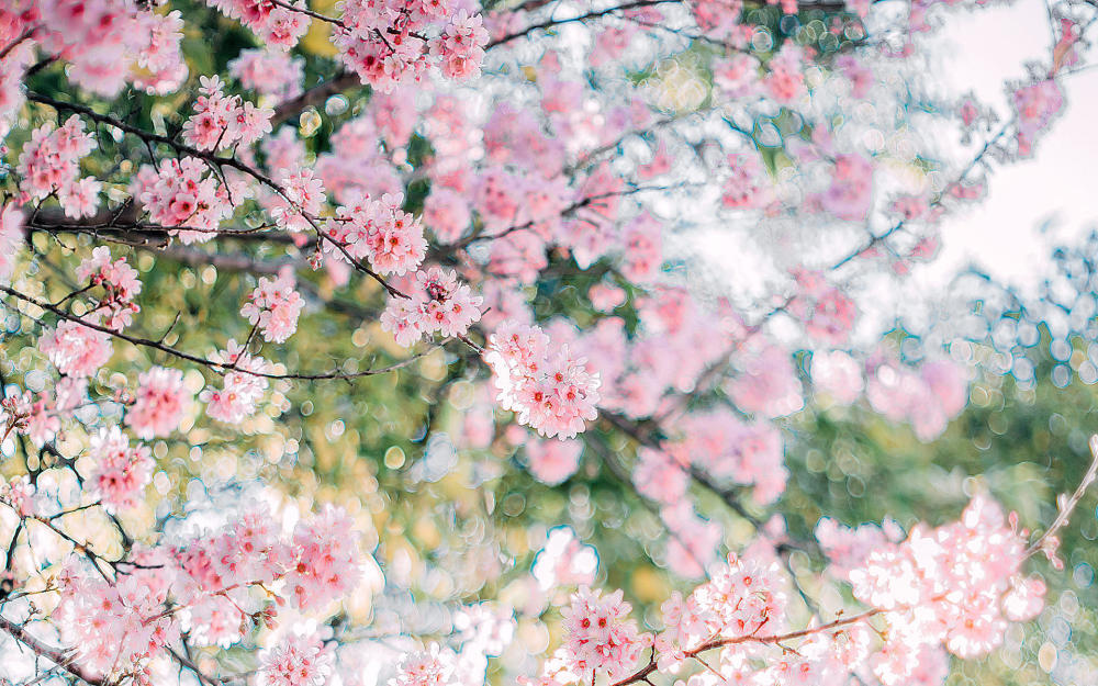 "越长越好看"的3大星座女,被人暗恋都不知道,堪称直男收割机